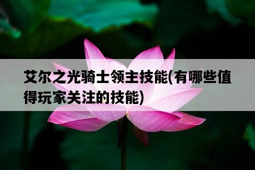 艾爾之光騎士領主技能，有哪些值得玩家關注的技能-圖1