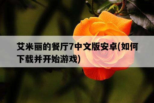 艾米麗的餐廳7中文版安卓，如何下載并開始游戲-圖1