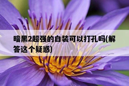 暗黑2超強的白裝可以打孔嗎，解答這個疑惑-圖1
