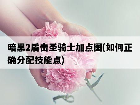 暗黑2盾擊圣騎士加點圖，如何正確分配技能點-圖1