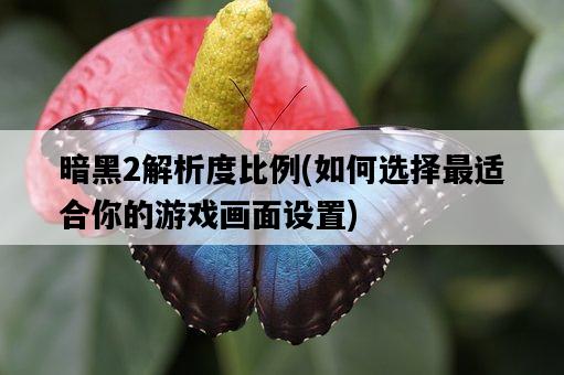 暗黑2解析度比例，如何選擇最適合你的游戲畫面設置-圖1