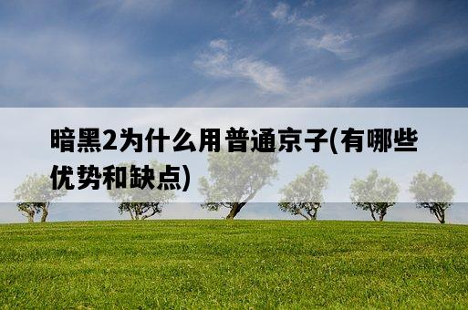 暗黑2為什么用普通京子，有哪些優勢和缺點-圖1