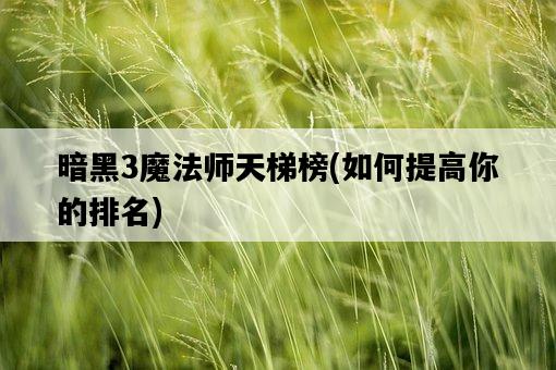 暗黑3魔法師天梯榜，如何提高你的排名-圖1