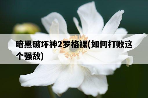 暗黑破壞神2羅格裸，如何打敗這個強敵-圖1