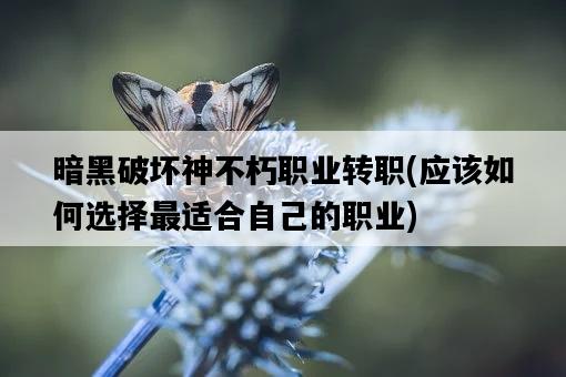暗黑破壞神不朽職業轉職，應該如何選擇最適合自己的職業-圖1