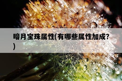 暗月寶珠屬性，有哪些屬性加成？-圖1