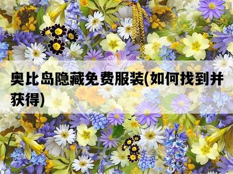 奧比島隱藏免費服裝，如何找到并獲得-圖1