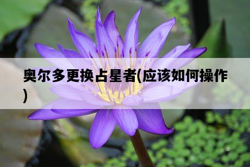 奧爾多更換占星者，應該如何操作-圖1