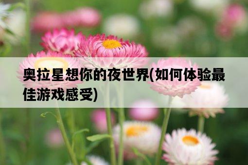 奧拉星想你的夜世界，如何體驗最佳游戲感受-圖1