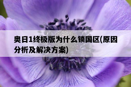 奧日1終極版為什么鎖國區，原因分析及解決方案-圖1