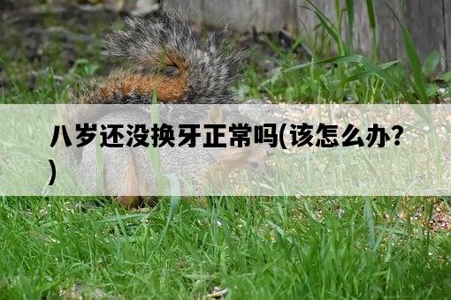 八歲還沒換牙正常嗎，該怎么辦？-圖1