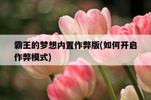霸王的夢想內置作弊版，如何開啟作弊模式-圖1