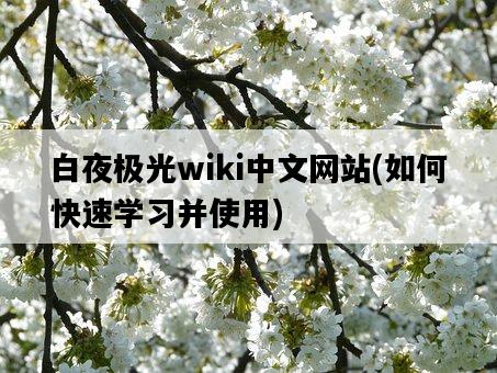 白夜極光wiki中文網站，如何快速學習并使用-圖1