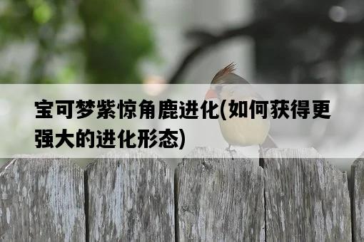 寶可夢紫驚角鹿進化，如何獲得更強大的進化形態-圖1