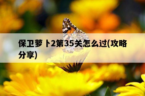 保衛蘿卜2第35關怎么過,攻略分享-圖1 保衛蘿卜2第35關怎么過,攻略分享-圖1