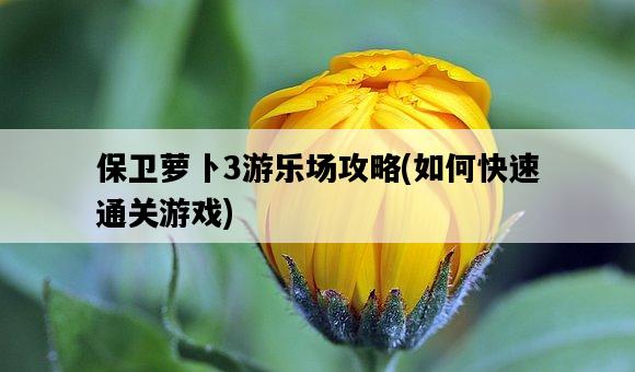 保衛蘿卜3游樂場攻略，如何快速通關游戲-圖1