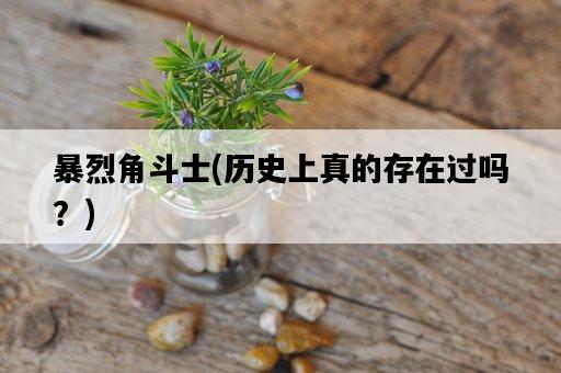暴烈角斗士，歷史上真的存在過嗎？-圖1
