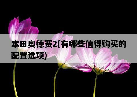 本田奧德賽2，有哪些值得購買的配置選項-圖1