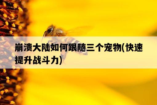 崩潰大陸如何跟隨三個寵物，快速提升戰斗力-圖1