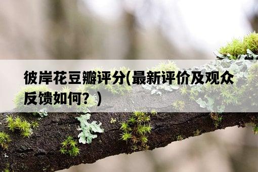 彼岸花豆瓣評分，最新評價及觀眾反饋如何？-圖1