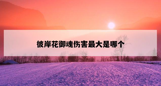 彼岸花御魂傷害最大是哪個-圖1