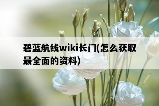 碧藍航線wiki長門，怎么獲取最全面的資料-圖1