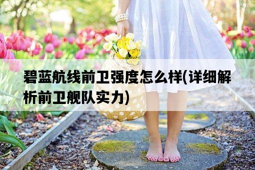 碧藍航線前衛強度怎么樣，詳細解析前衛艦隊實力-圖1