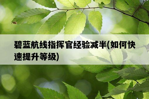 碧藍航線指揮官經驗減半，如何快速提升等級-圖1