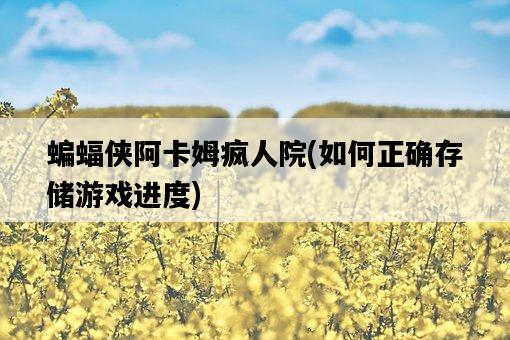 蝙蝠俠阿卡姆瘋人院，如何正確存儲游戲進度-圖1