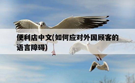 便利店中文，如何應對外國顧客的語言障礙-圖1