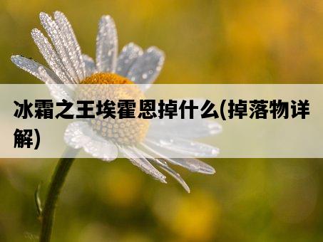 冰霜之王埃霍恩掉什么，掉落物詳解-圖1