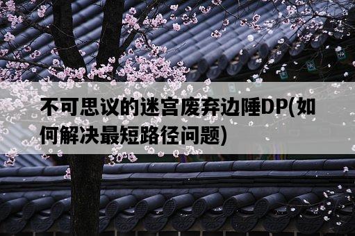 不可思議的迷宮廢棄邊陲DP，如何解決最短路徑問題-圖1