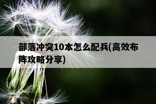 部落沖突10本怎么配兵,高效布陣攻略分享-圖1 部落沖突10本怎么配兵,高效布陣攻略分享-圖1