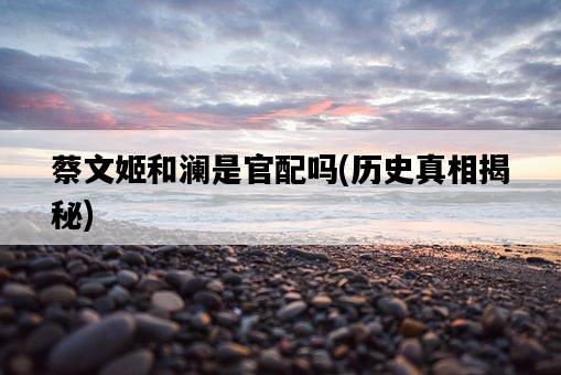 蔡文姬和瀾是官配嗎，歷史真相揭秘-圖1