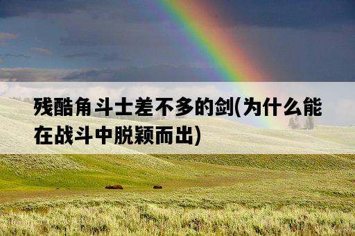 殘酷角斗士差不多的劍，為什么能在戰斗中脫穎而出-圖1