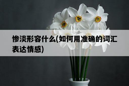慘淡形容什么，如何用準確的詞匯表達情感-圖1