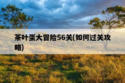 茶葉蛋大冒險56關，如何過關攻略-圖1