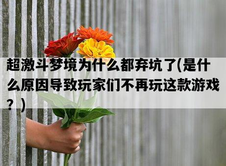 超激斗夢境為什么都棄坑了，是什么原因導致玩家們不再玩這款游戲？-圖1