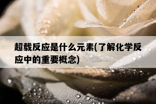 超載反應是什么元素，了解化學反應中的重要概念-圖1
