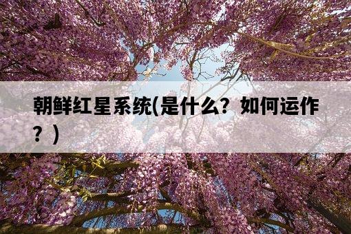 朝鮮紅星系統，是什么？如何運作？-圖1
