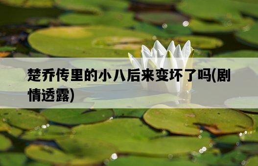 楚喬傳里的小八后來變壞了嗎，劇情透露-圖1
