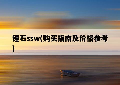 錘石ssw，購買指南及價格參考-圖1