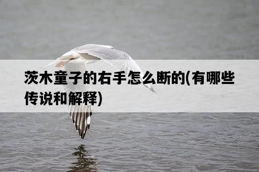 茨木童子的右手怎么斷的，有哪些傳說和解釋-圖1