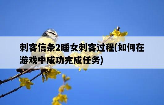 刺客信條2睡女刺客過程，如何在游戲中成功完成任務-圖1