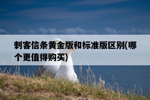 刺客信條黃金版和標準版區別，哪個更值得購買-圖1
