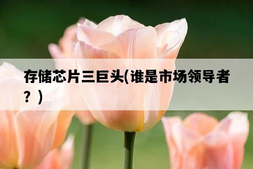 存儲芯片三巨頭，誰是市場領導者？-圖1