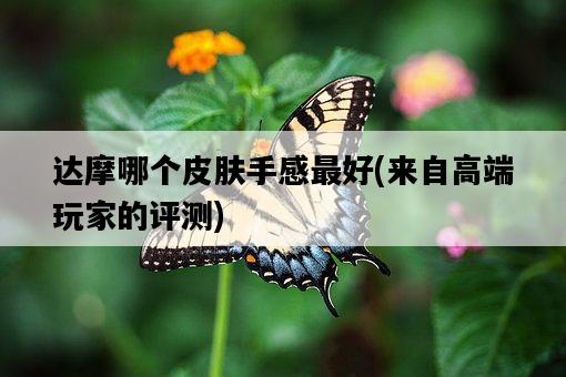達摩哪個皮膚手感最好，來自高端玩家的評測-圖1