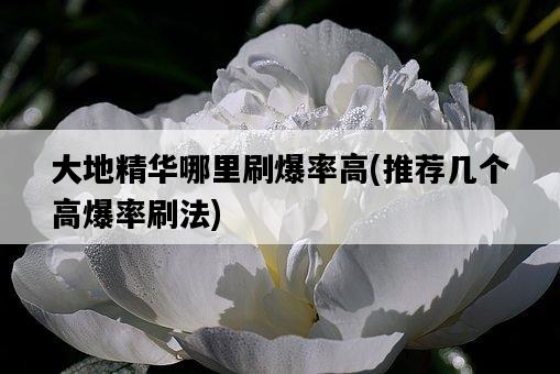 大地精華哪里刷爆率高，推薦幾個高爆率刷法-圖1