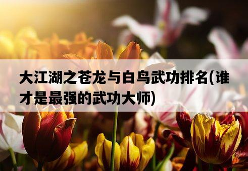 大江湖之蒼龍與白鳥武功排名，誰才是最強的武功大師-圖1