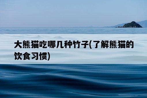 大熊貓吃哪幾種竹子，了解熊貓的飲食習慣-圖1